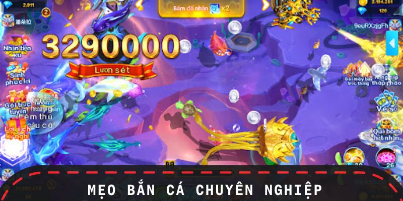 Thủ thuật để bắn cá chuyên nghiệp