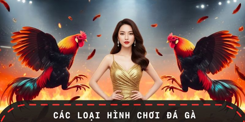 Các loại hình chọi gà phổ biến