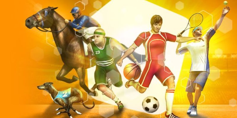 Tổng quan về sảnh cược thể thao QH88